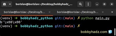 python big integer to bytes