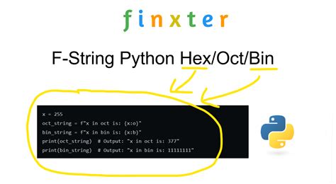 Python Bin Read