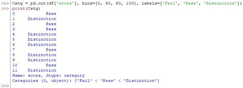 Python Bins Cut