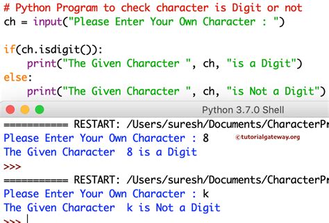 python check if input is digit