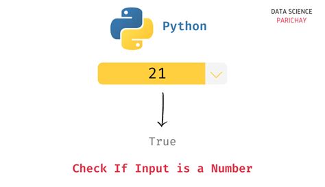 python check if input is number