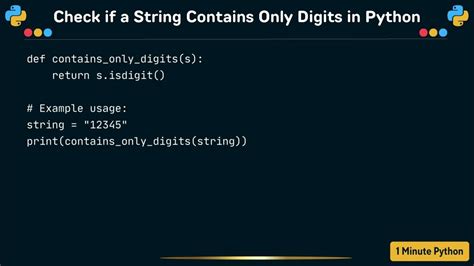 python check if string is only digits