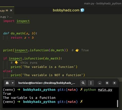 python check if variable is function