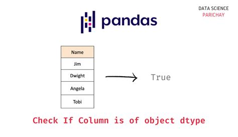 python check pandas column type