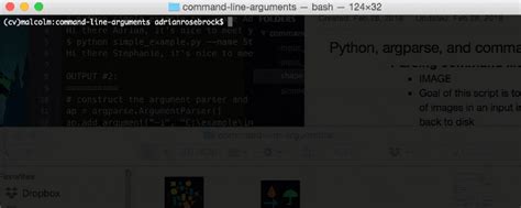 python command line arguments argparse example