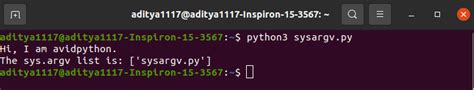 python command line arguments example sys argv