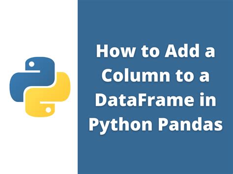 python dataframe add a column with same value