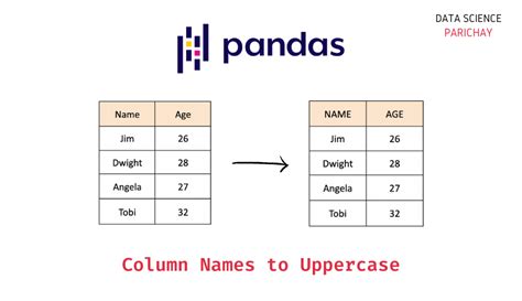 python dataframe change column name by index