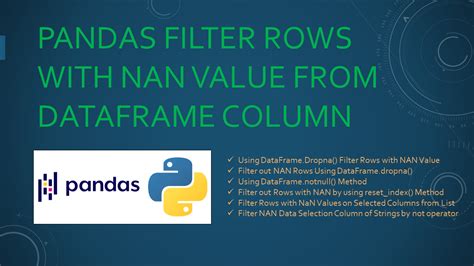 python dataframe filter by column value nan