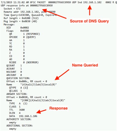 python dns query example