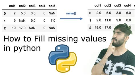 python fill missing values with mean