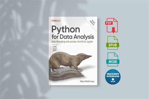 python for data analysis data wrangling with pandas numpy and jupyter 3rd pdf