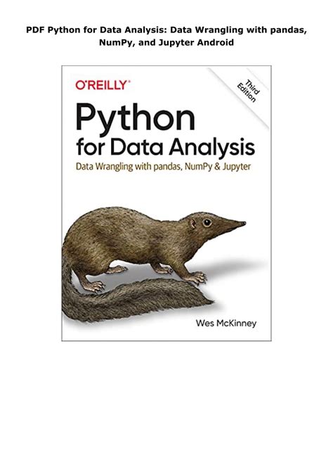 python for data analysis data wrangling with pandas numpy and jupyter filetype pdf