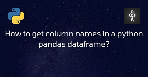 python get column types