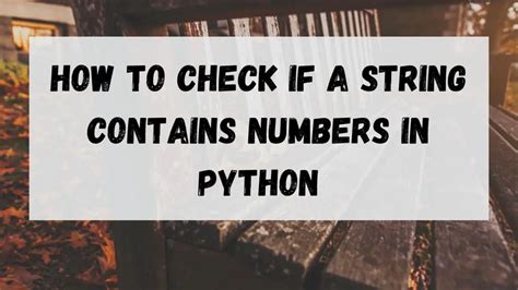 python if string is only numbers