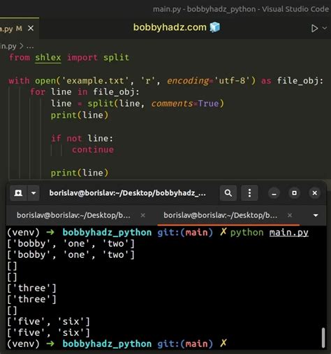 python ignore comments in file