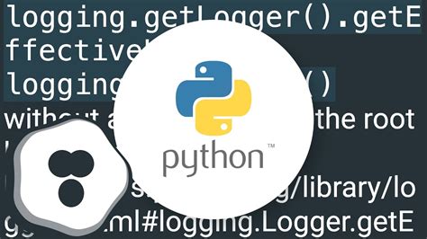 python logger set debug level