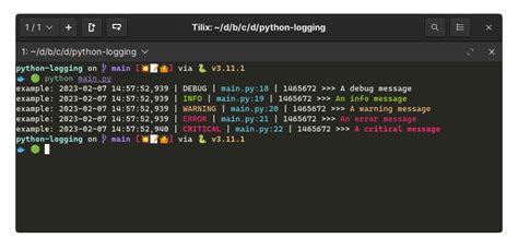 python logging format best practices