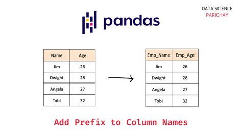 python pandas add column names