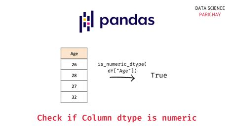 python pandas check if value is empty