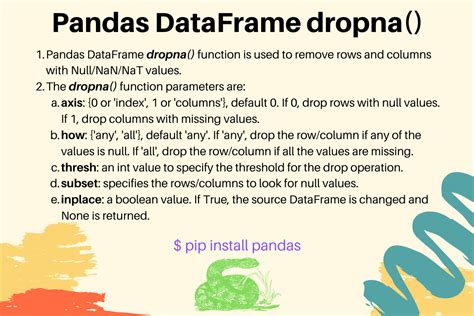 python pandas drop null values