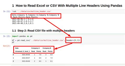 python pandas read csv file without header