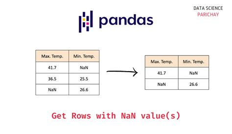 python pandas remove nan values