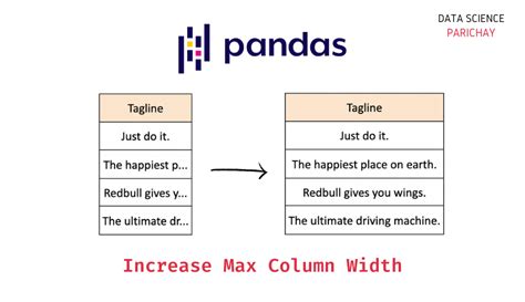 python pandas set option column width