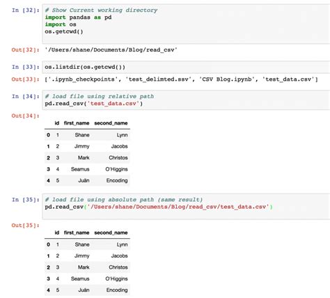 python pd read_csv file path