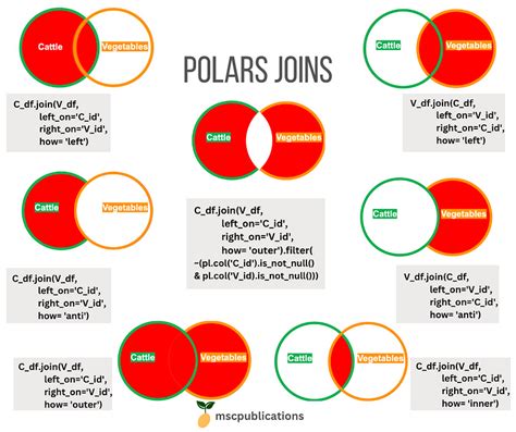 python polars join