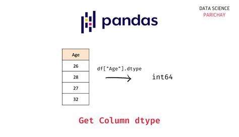 python print dataframe column data type