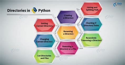 Python Project Directory Path