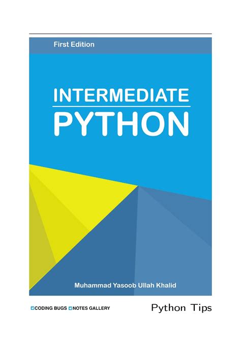 python projects for intermediate pdf
