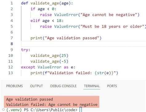 python raise exception exit code