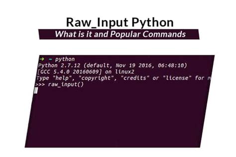 python raw_input