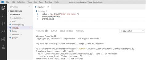 python raw_input not defined