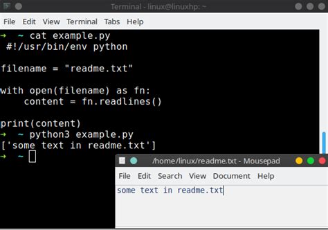 python read html file as string