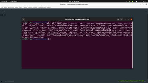 python requests get params example
