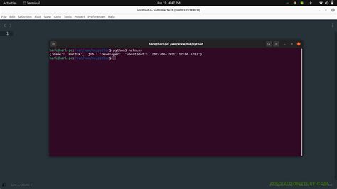 python requests params example
