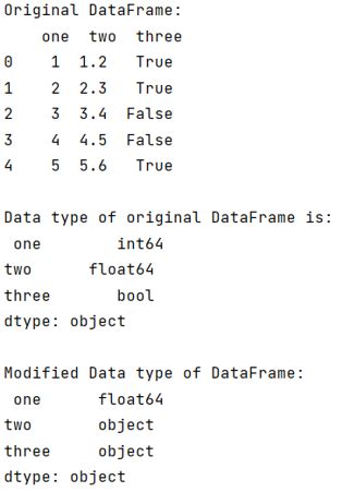 python set dataframe column type