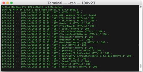 python simple web server command line