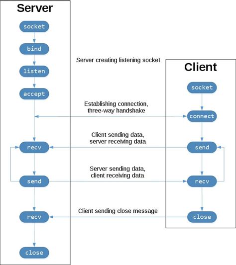 Python Socket Linux Example