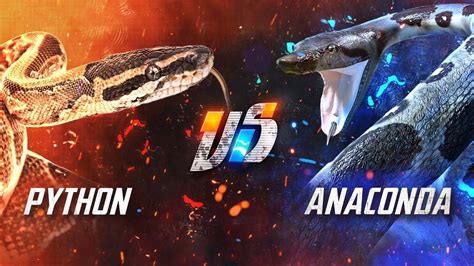Python Vs Anaconda Film