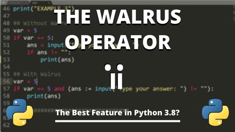 python walrus operator version