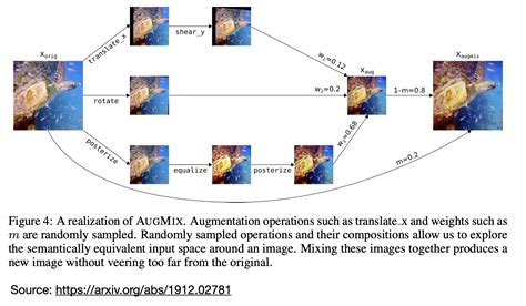 pytorch data augmentation example