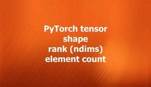 Pytorch Find Element