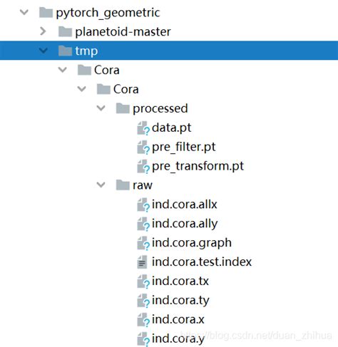 Pytorch Geometric Cora