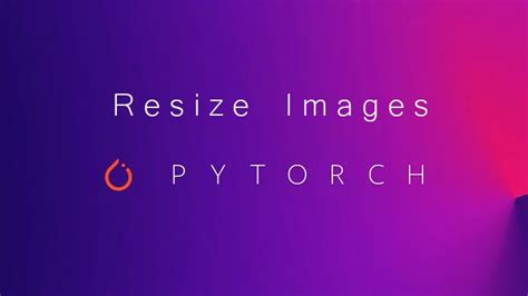 Pytorch Resize Image