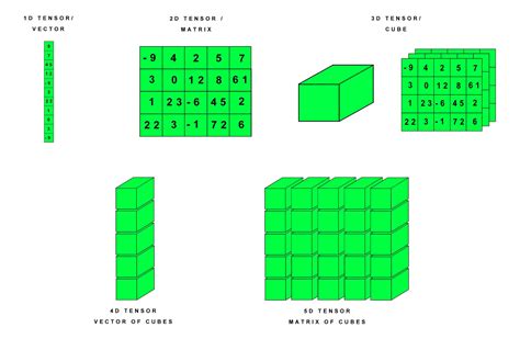 Pytorch Shape Size