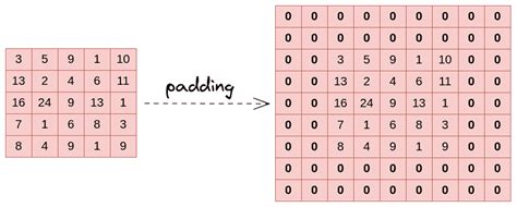 Pytorch Zero Padding
